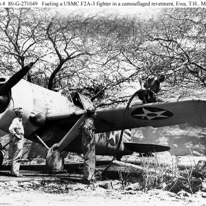 Brewster F2A-3 "Buffalo"